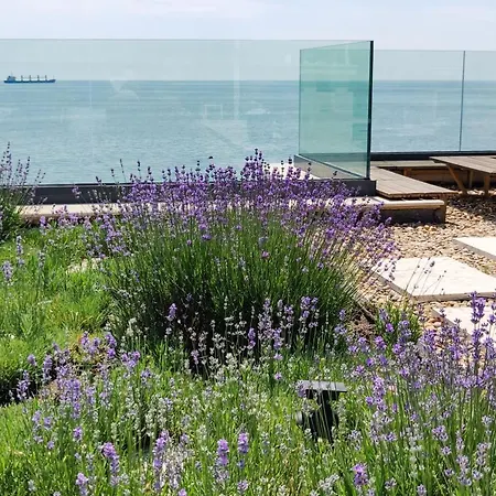 - Cosiness 4 Meters From The Sea Warna