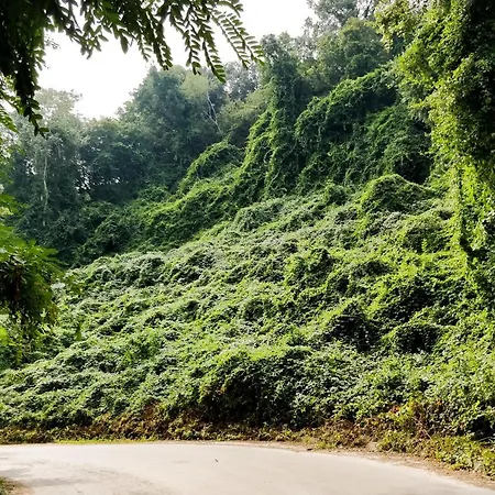 - Cosiness 4 Meters From The Sea * Warna