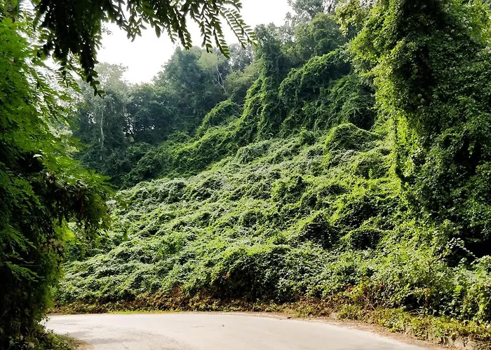 - Cosiness 4 Meters From The Sea * Várna