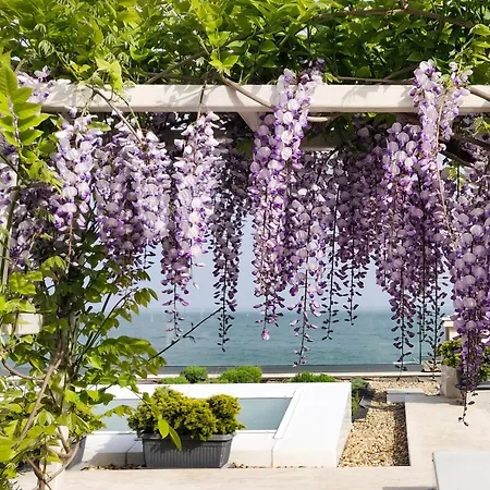 Villa - Cosiness 4 Meters From The Sea *