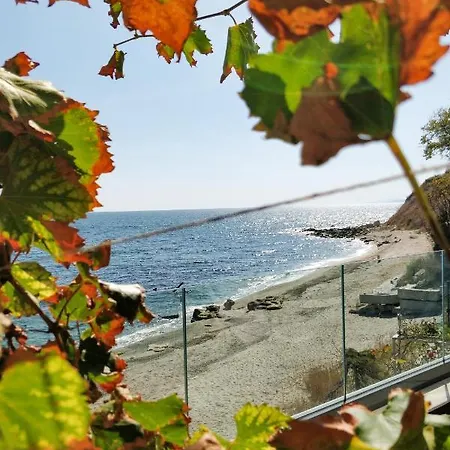 Villa - Cosiness 4 Meters From The Sea Varna