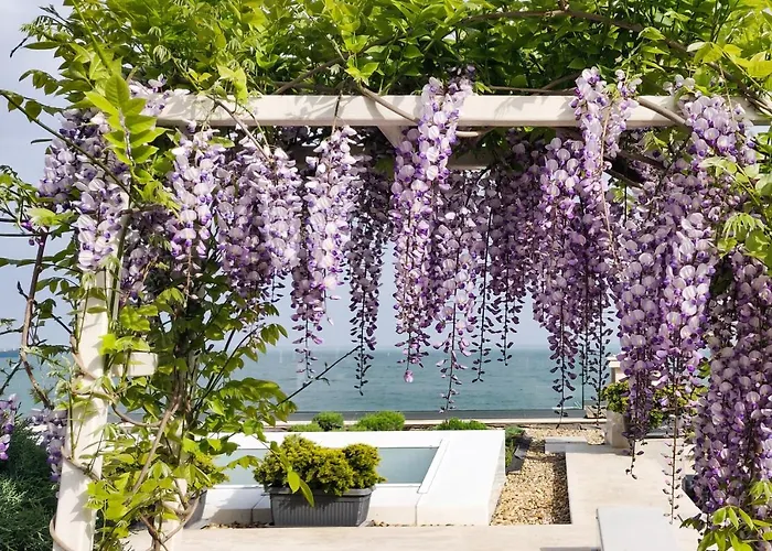 Вілла - Cosiness 4 Meters From The Sea *